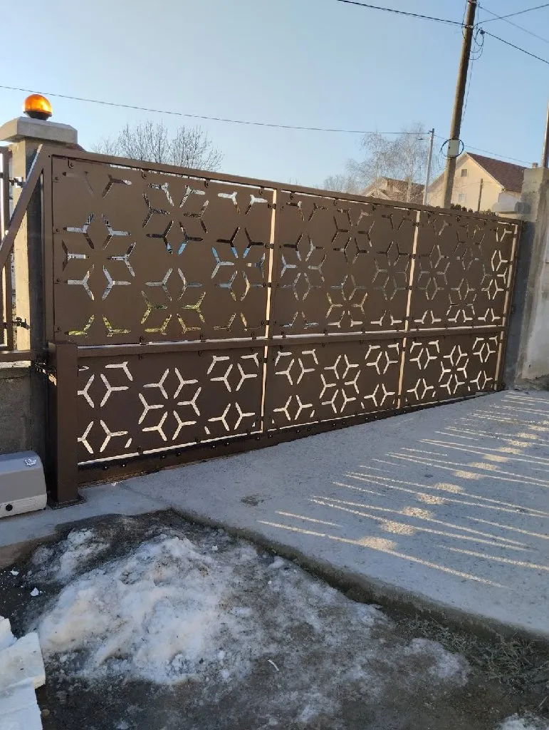 Nadstreŝnice za automobile - 4