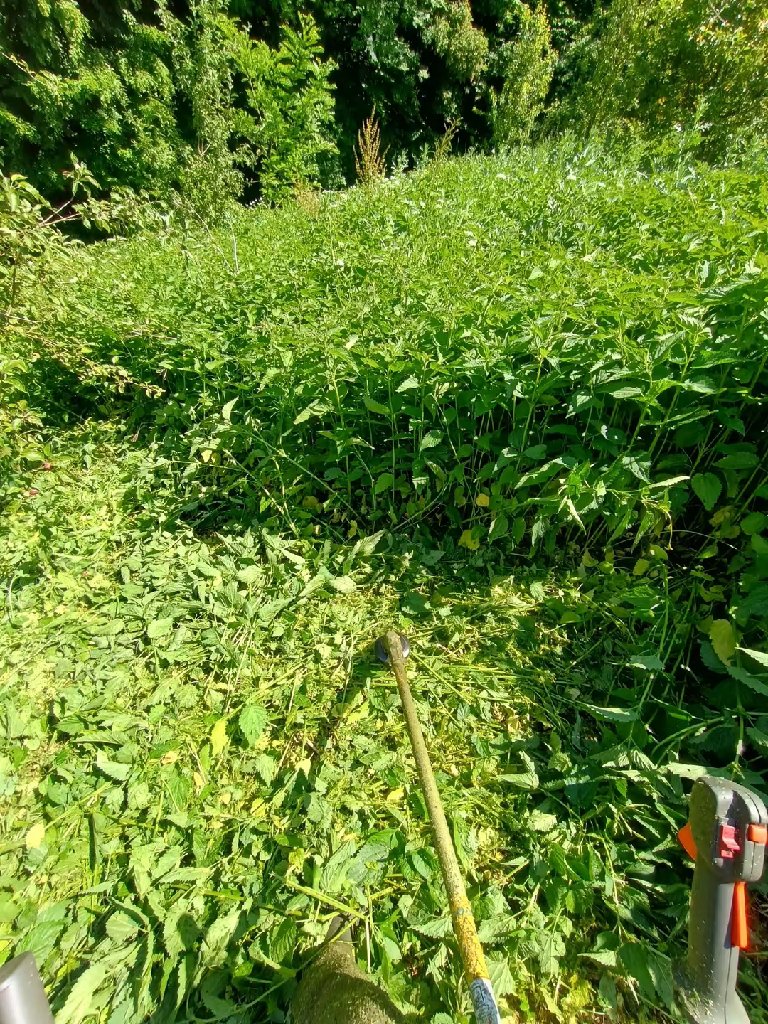 Košenje i krčenje trimerom - 5