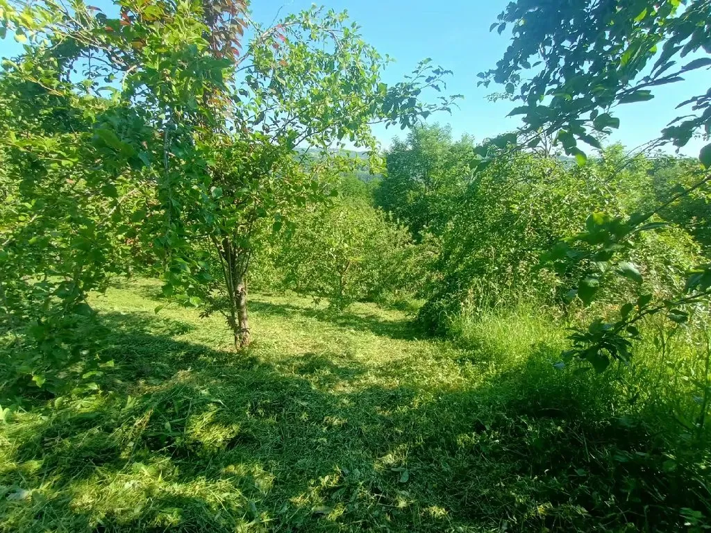 Košenje i krčenje,Užice i okolina - 4