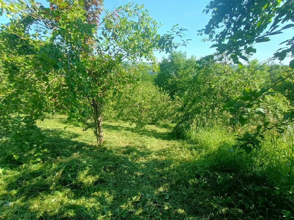 Košenje i krčenje trimerom - 4