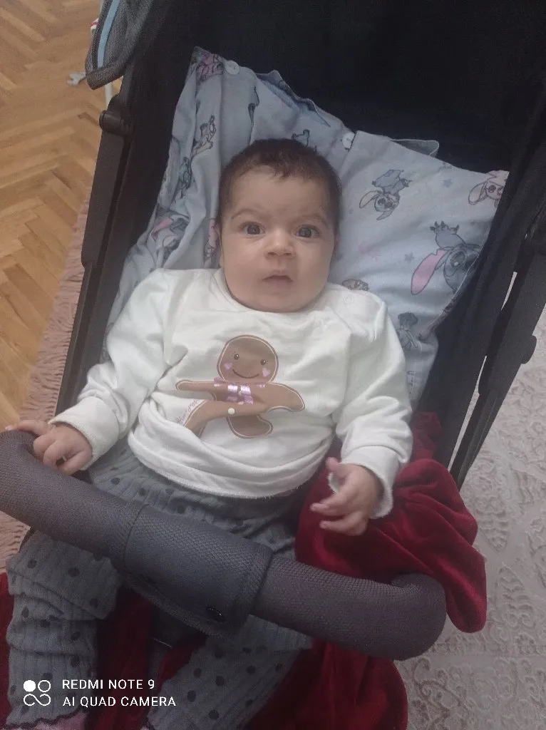 Cistacica uredjenje Kuca stanova