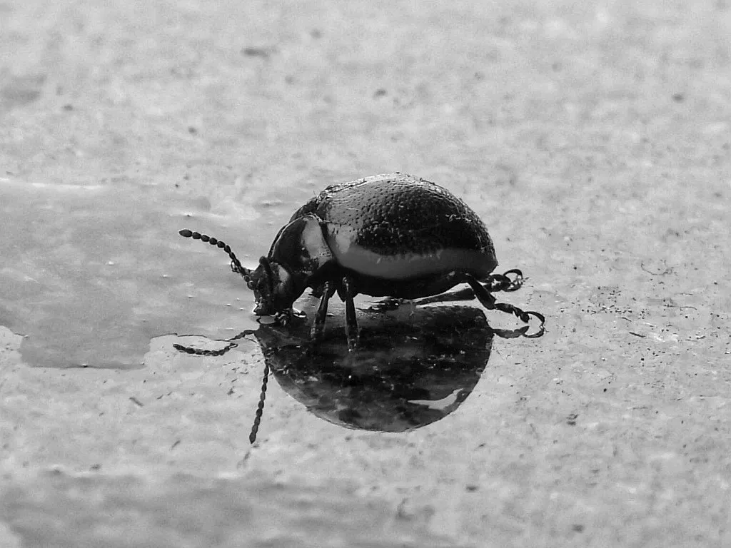 M shots photography - 5