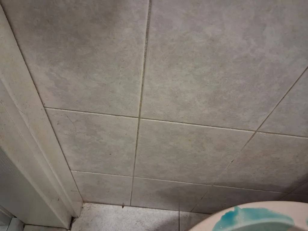 TiM cleaning - 7