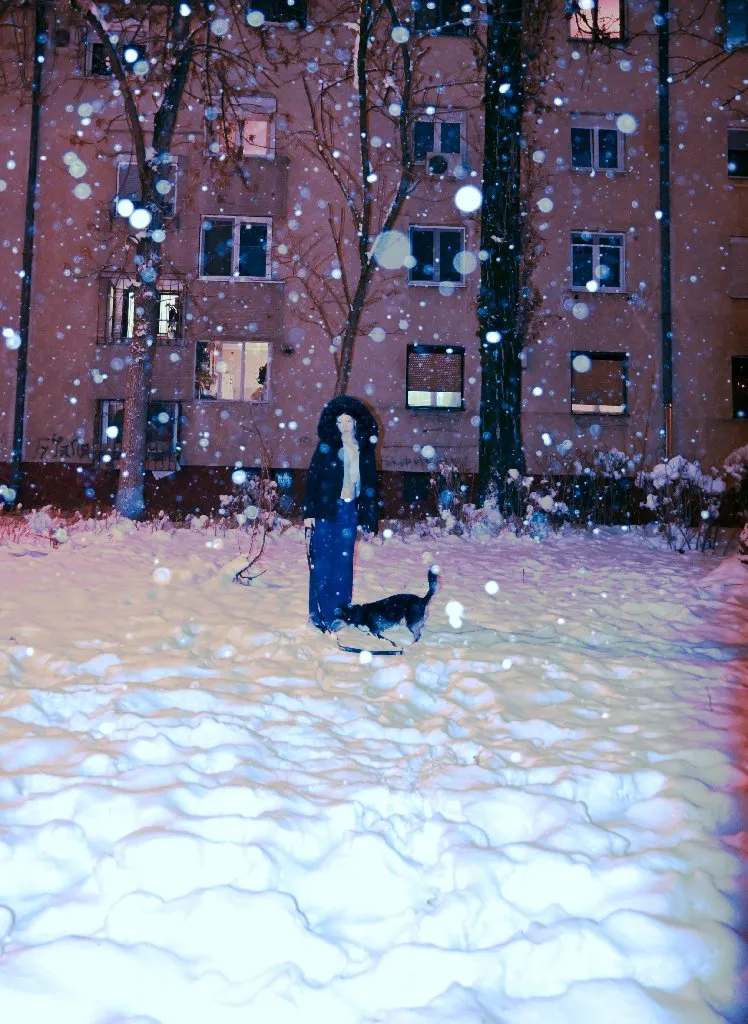 Olgica_perspectives - 1