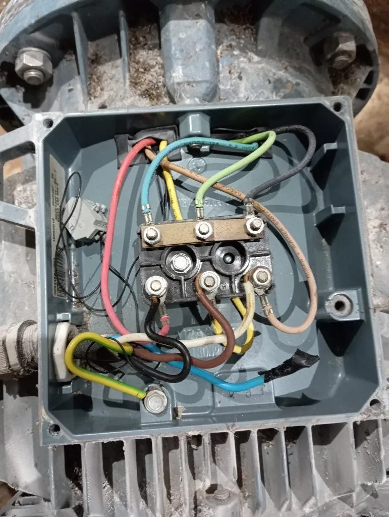 Elektricar djole - 1