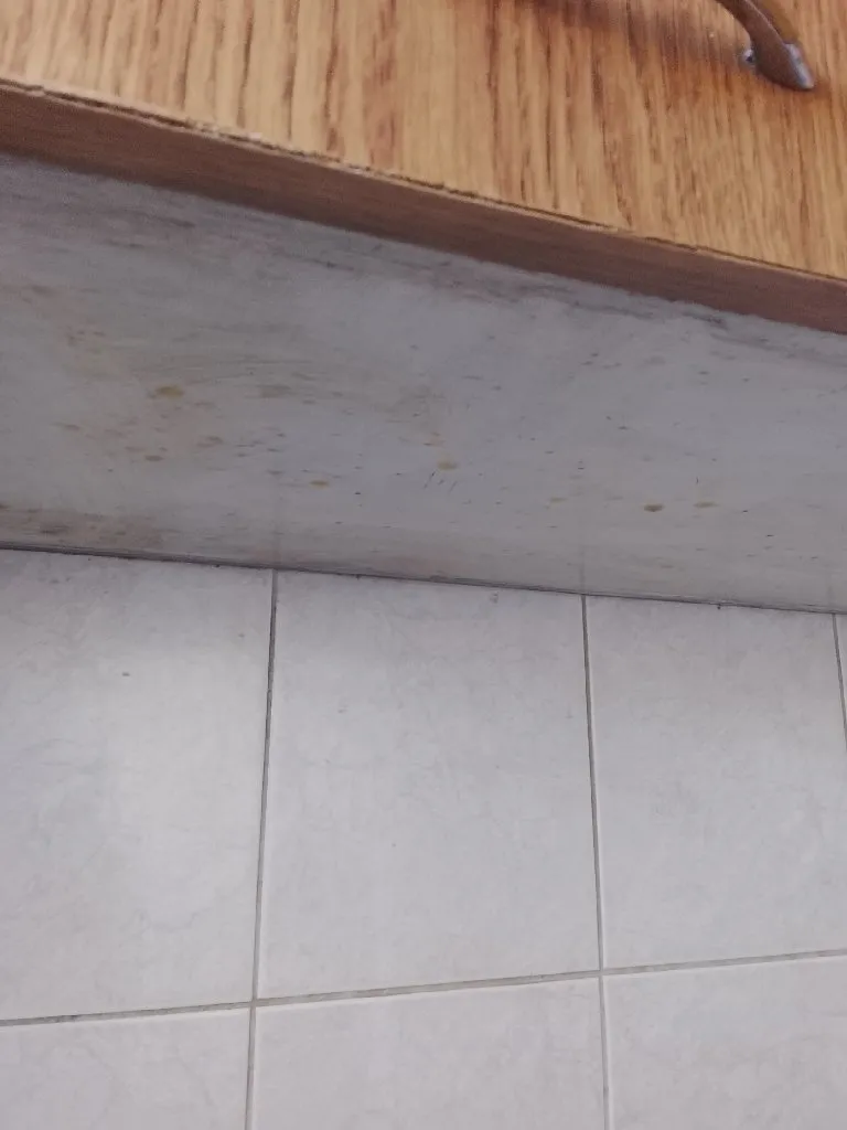 Lidija clean Kristalno Cisto - 8