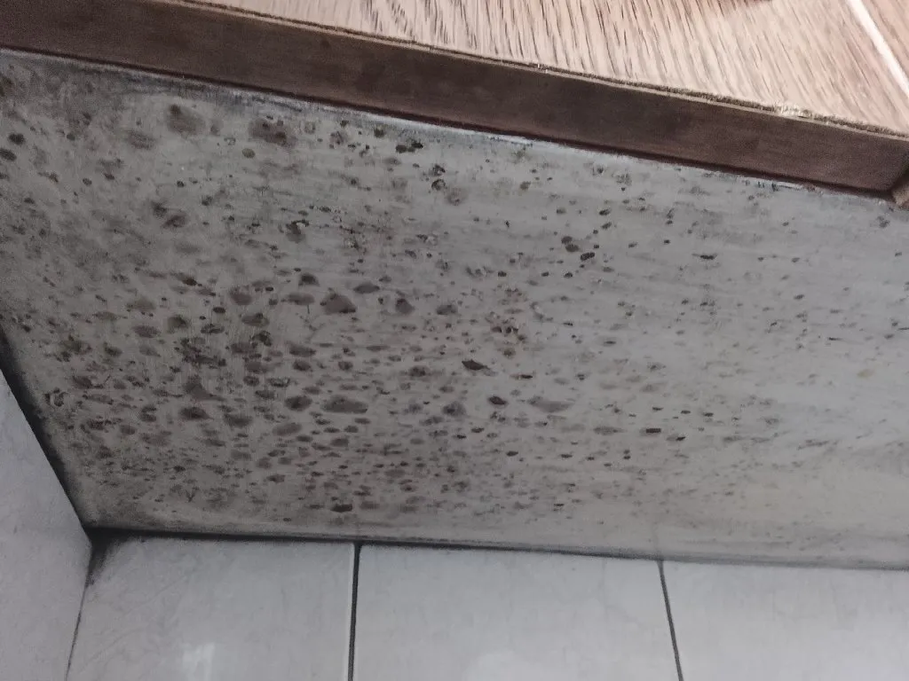 Lidija clean Kristalno Cisto - 2
