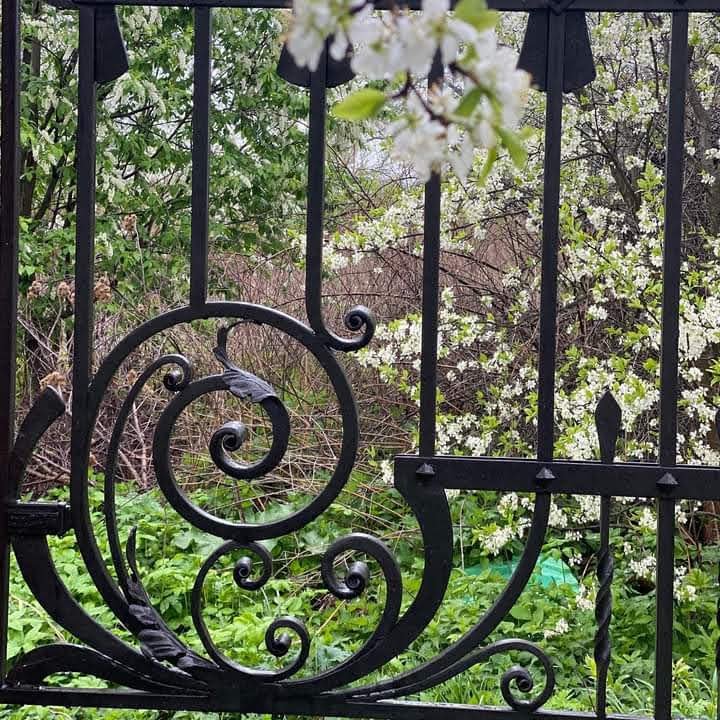 Бравар Софа - 4