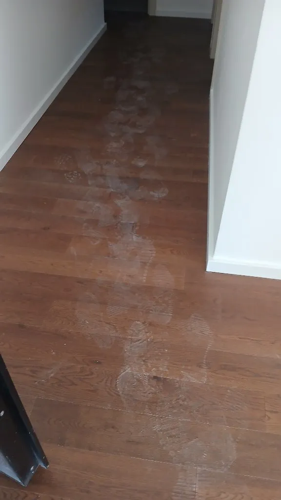 Agencija za ciscenje cleanova - 3