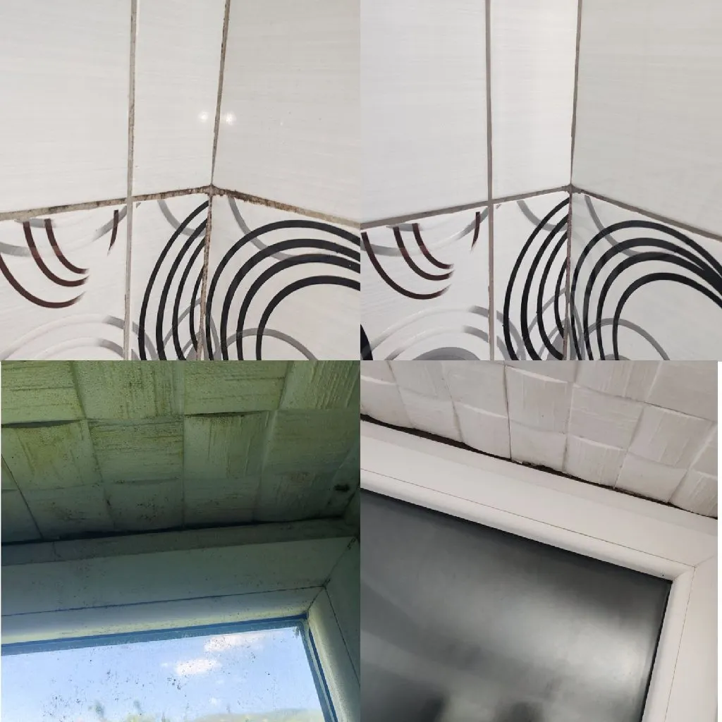 Dubinsko čišćenje - 1