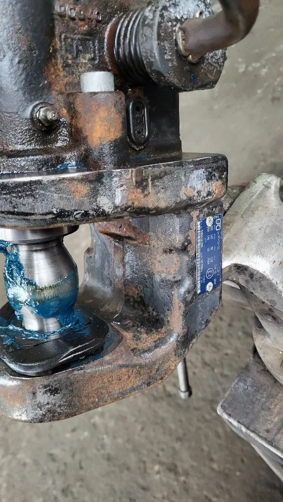 Vučnici (puferi) - 4