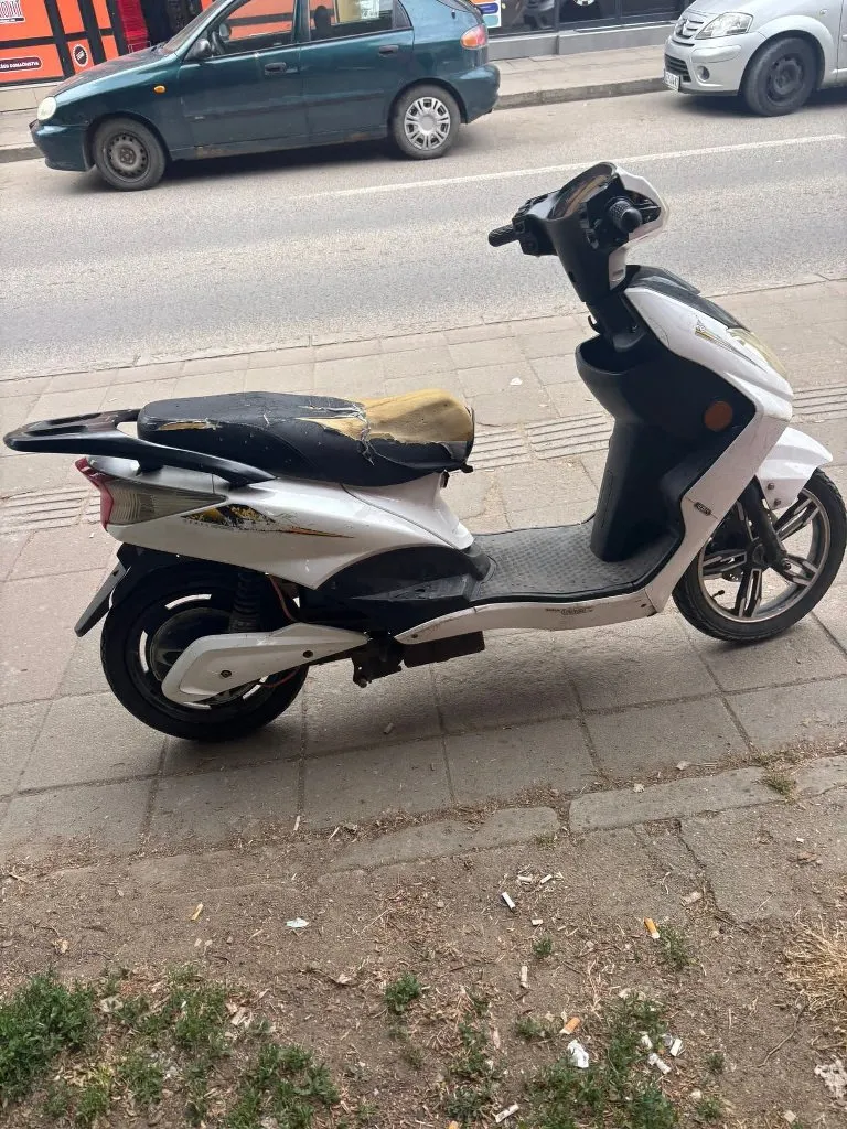 Majstor za sve - 5