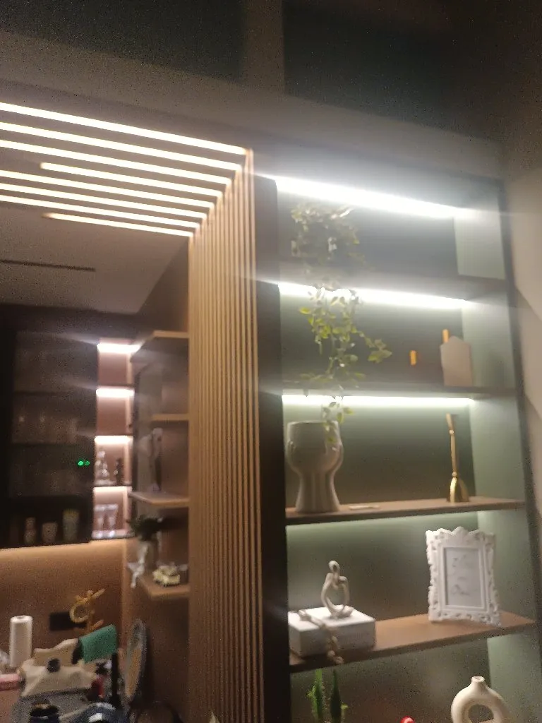 Filip Električar - 1