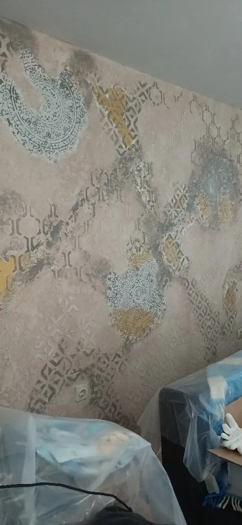 Moleraj i sve vrste dekorativnih tehnika - 4