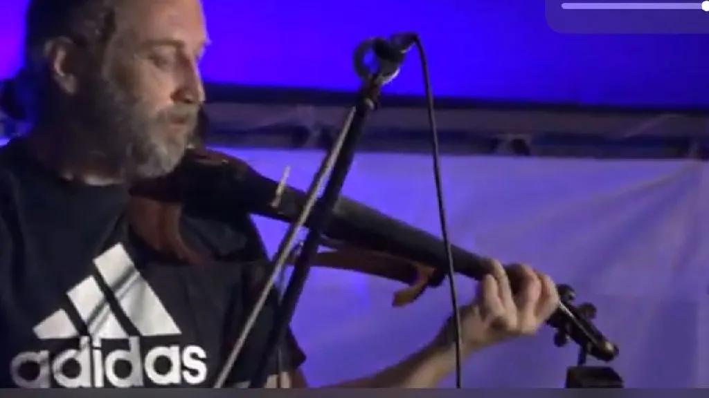 Nastavnik violine - 1