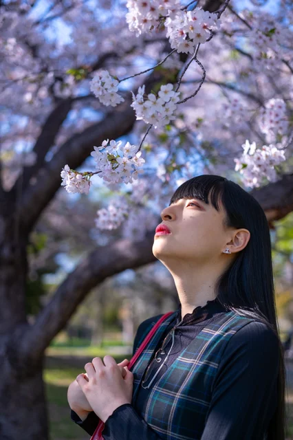 桜と空