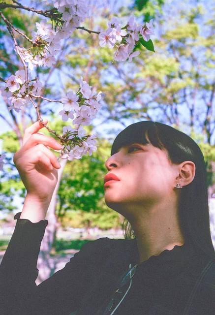リバーサルフィルム