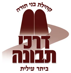 דרכי תבונה דרכי תבונה