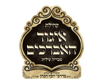 דניאל לוי