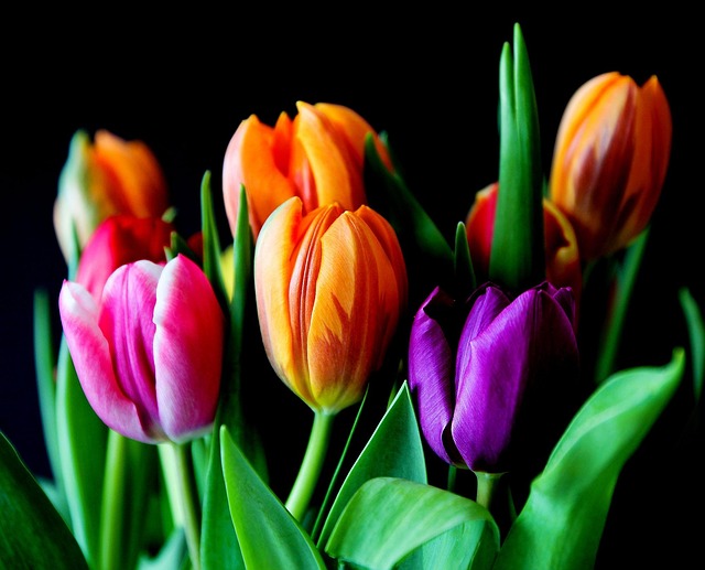 Seasonal Tulip Arrangement