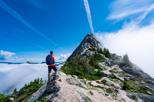 Trailblazer