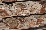 Organic Bread Flour