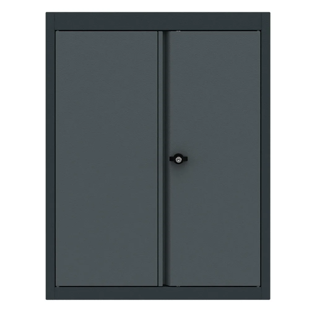 Top cabinet 2 doors low model Expert