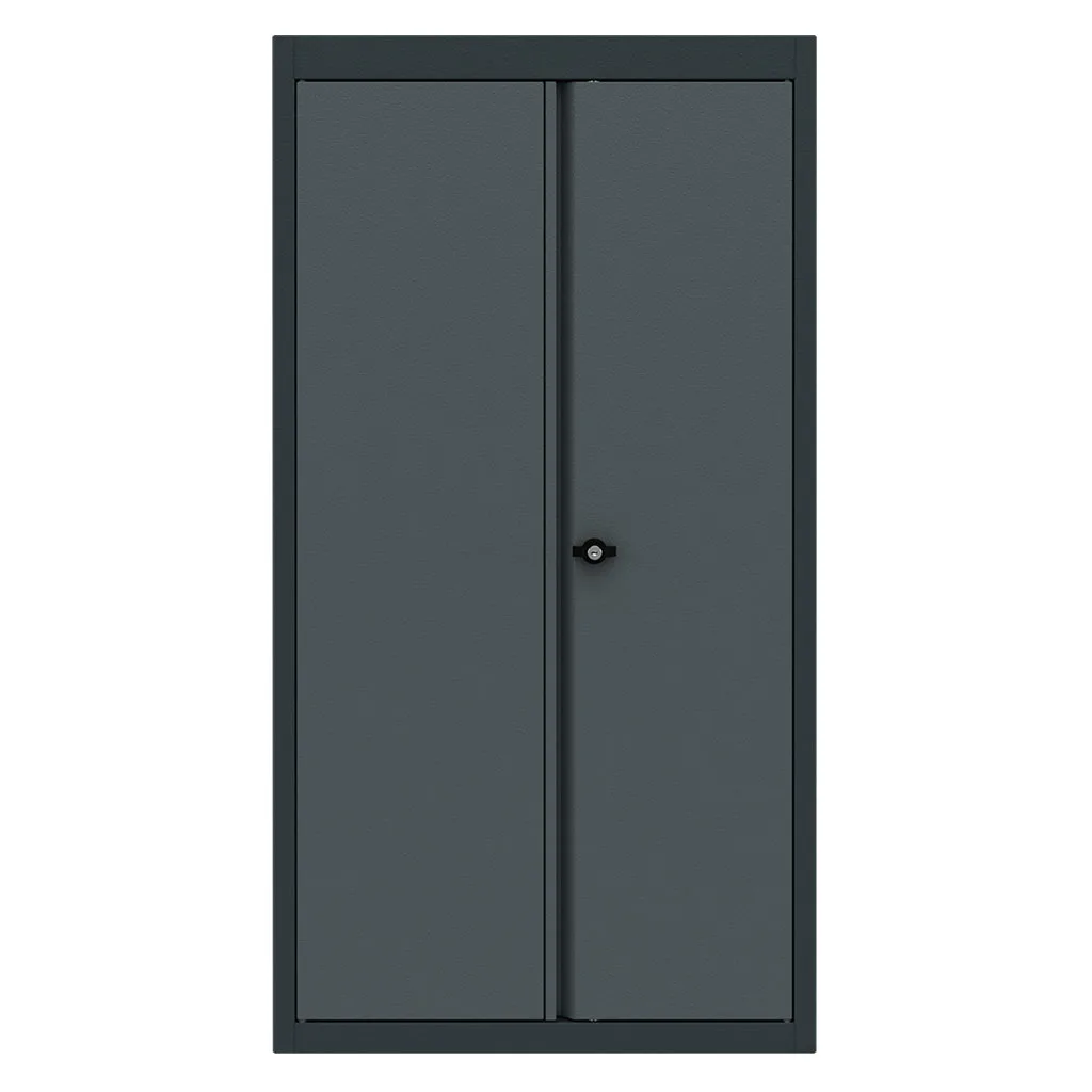 Top cabinet 2 doors Expert