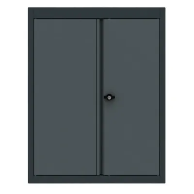 Top cabinet 2 doors low model Expert