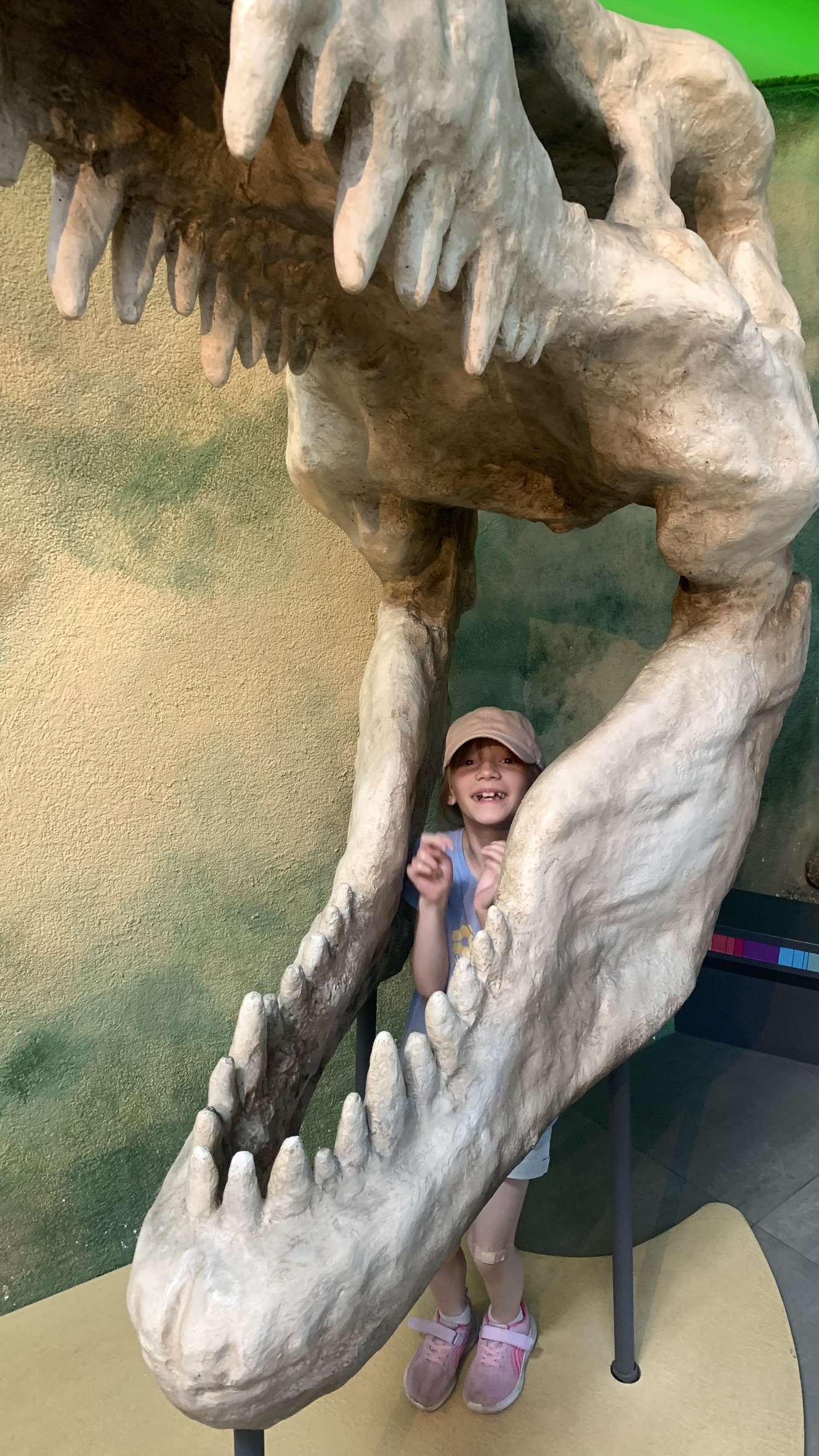 Galerijos nuotrauka 4