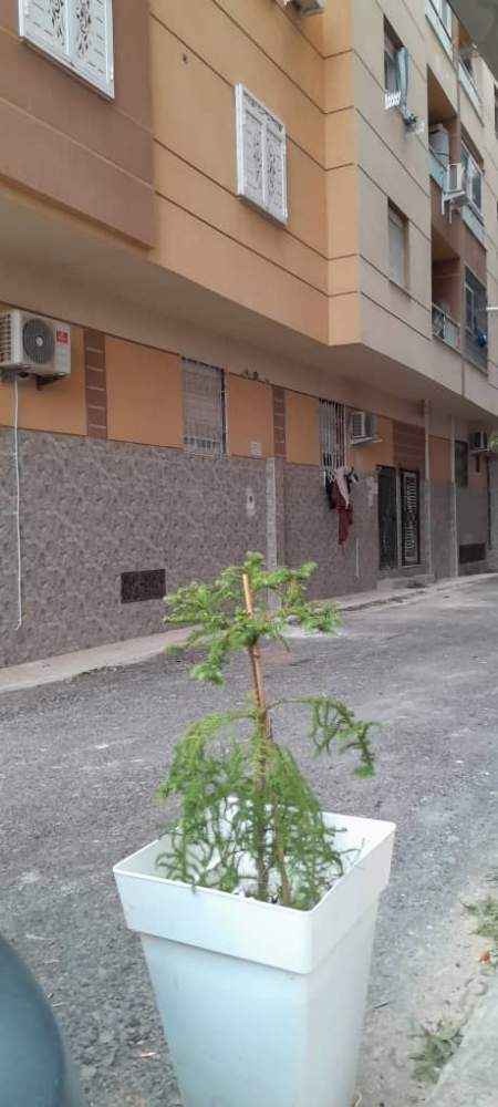 À vendre Appartement - F3 2
