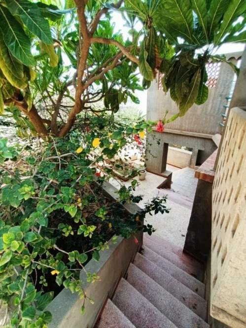 À vendre Appartement - F2 15