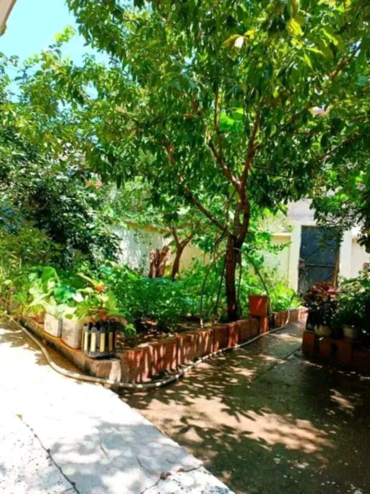 À louer Appartement - F2 9