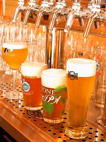 Craft Beer House Lush Life