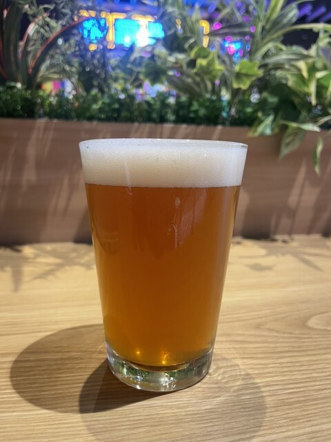 Cial Yokohama
