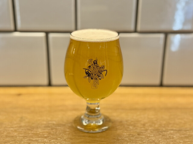 Craft Beer Shop Sanity Gakugei Daigaku