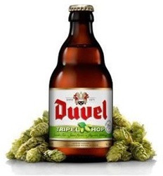 Comme la Gueuze