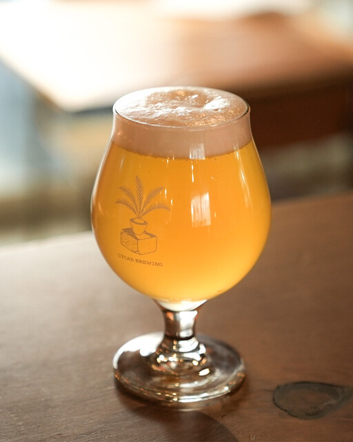 Cycad Brewing