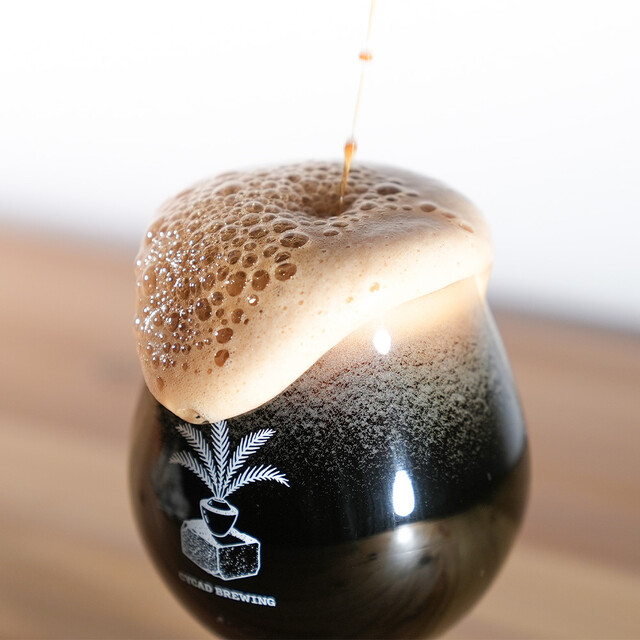 Cycad Brewing