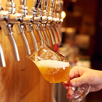 Moon Sun Brewing