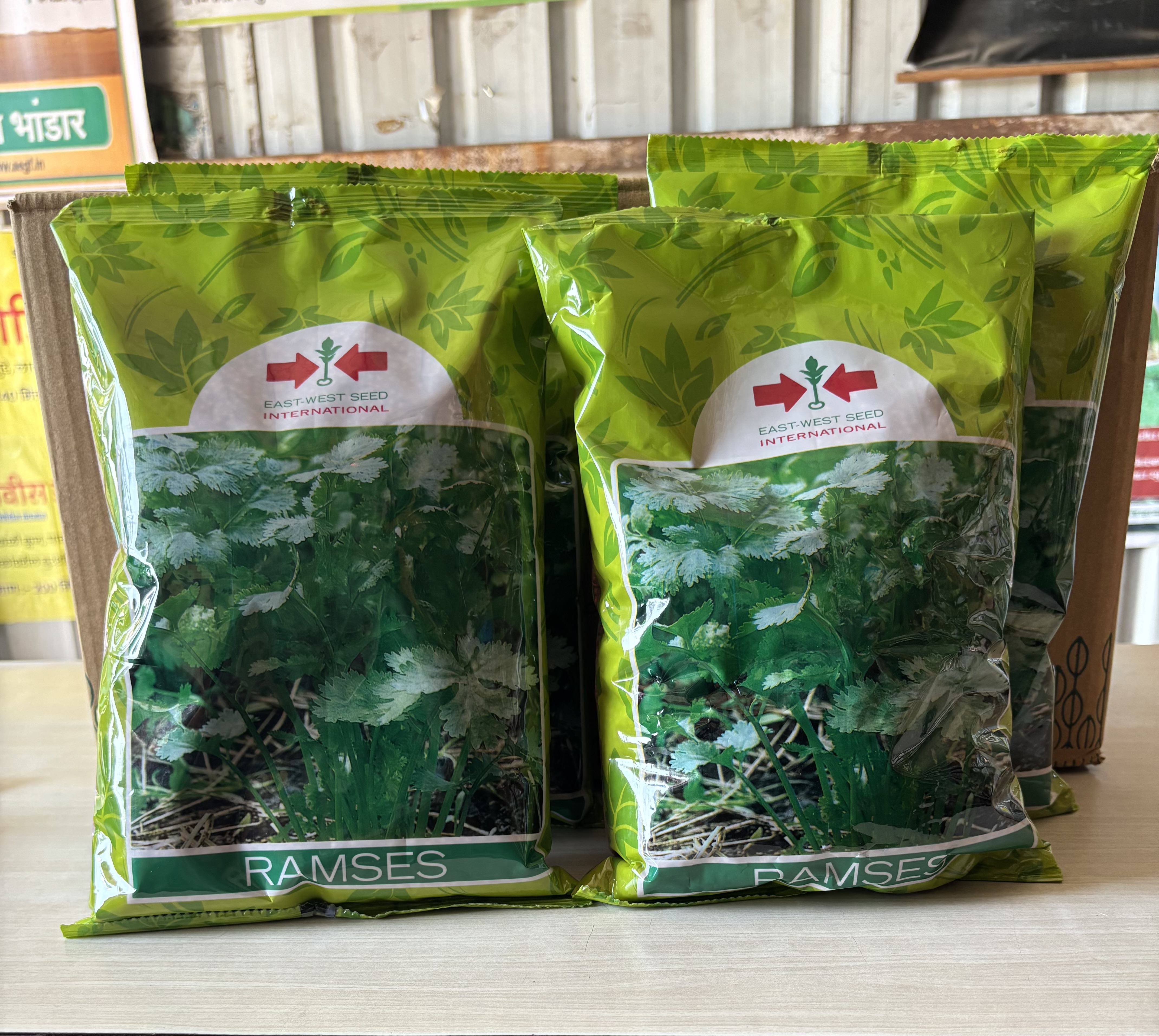 Coriander- Ramses east-vest seeds