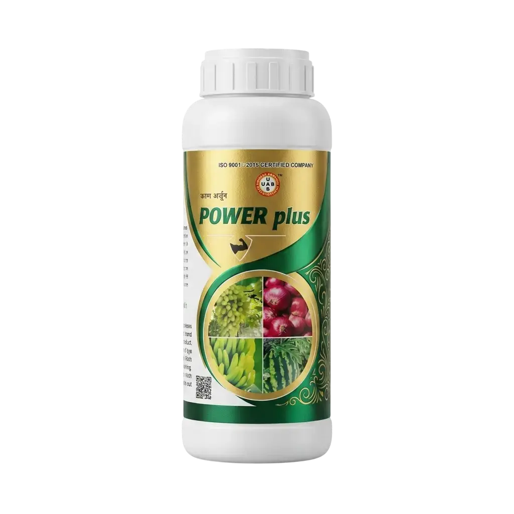 Power Plus 1L