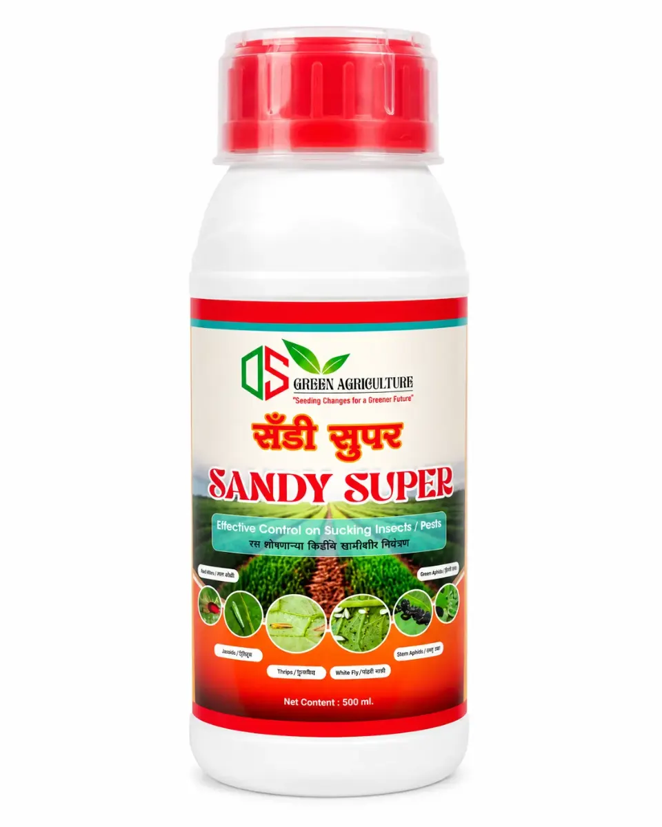 Sandy Super