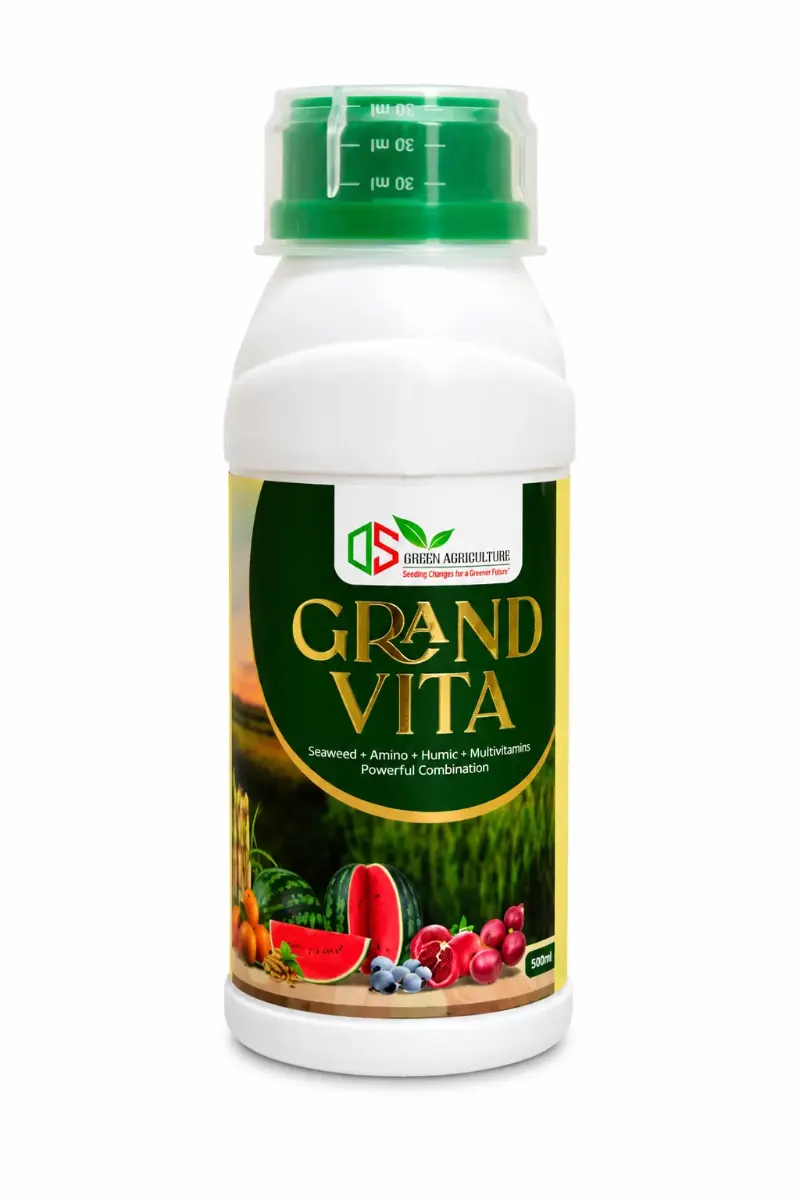 Grand Vita