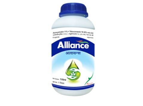 Alliance