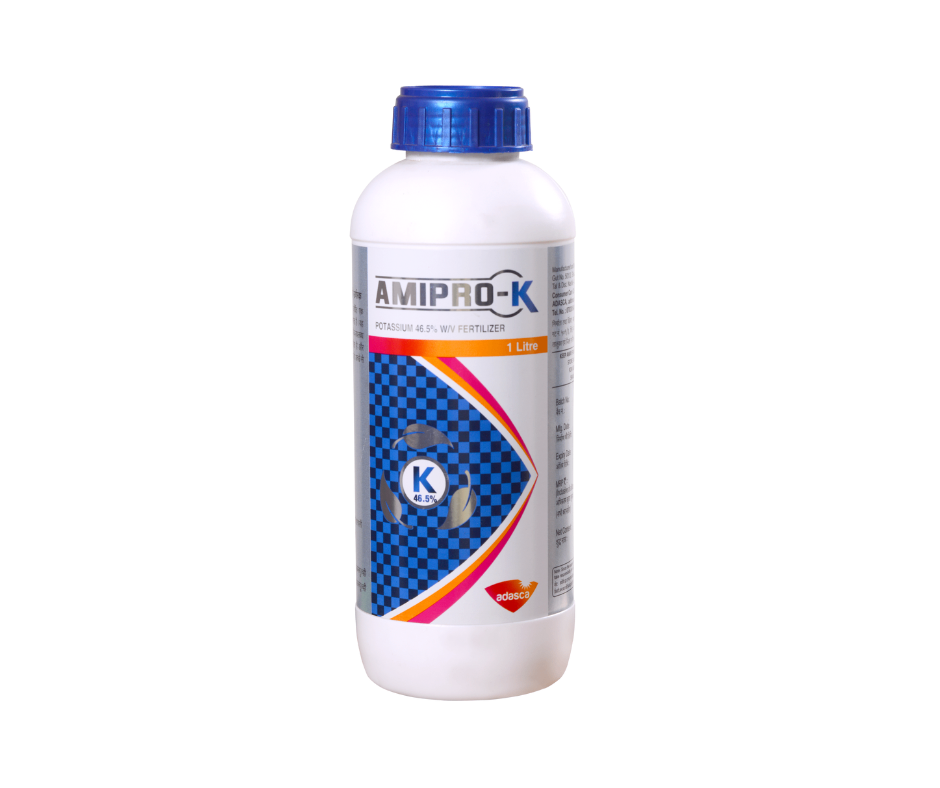 AMIPRO-K