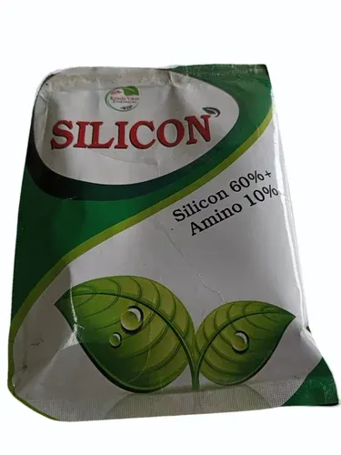 Silicon