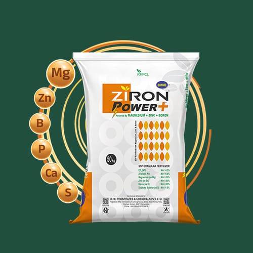 SSP Ziron Power Plus,ZMG