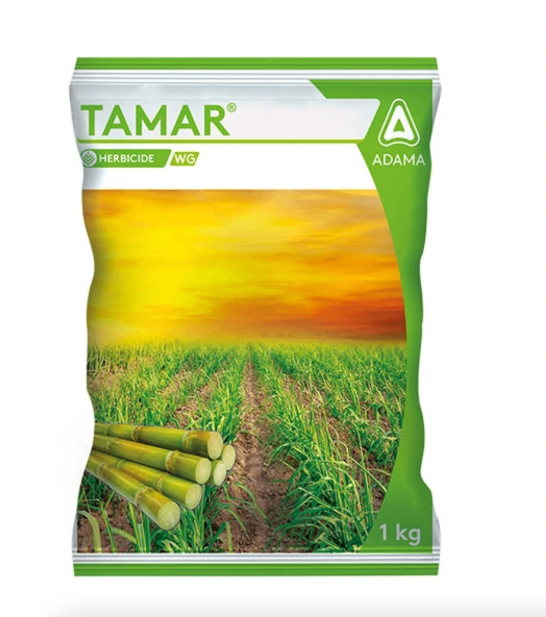 TAMAR (ADAMA)