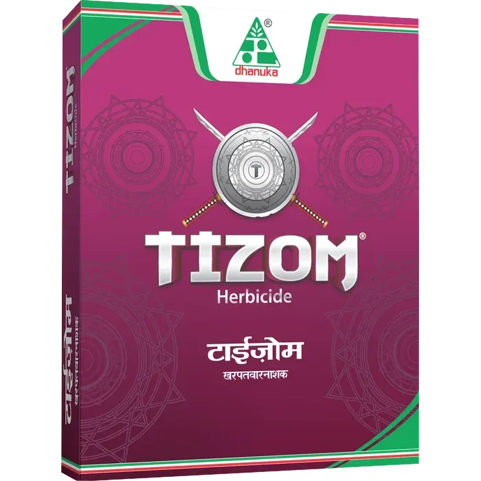 Tizom
